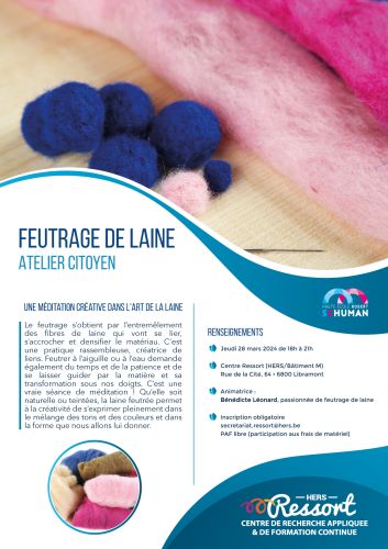 Affiche de la formation Feutrage de laine